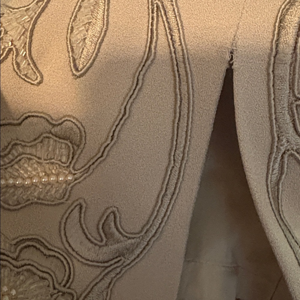 Carmen Marc Valvo Beige Beaded/ Embroidered Sheath Dress-Sz 14 NWT - Picture 10 of 10